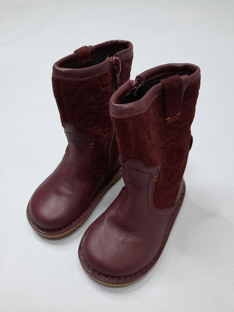 Фото2 Чоботи Ckarks