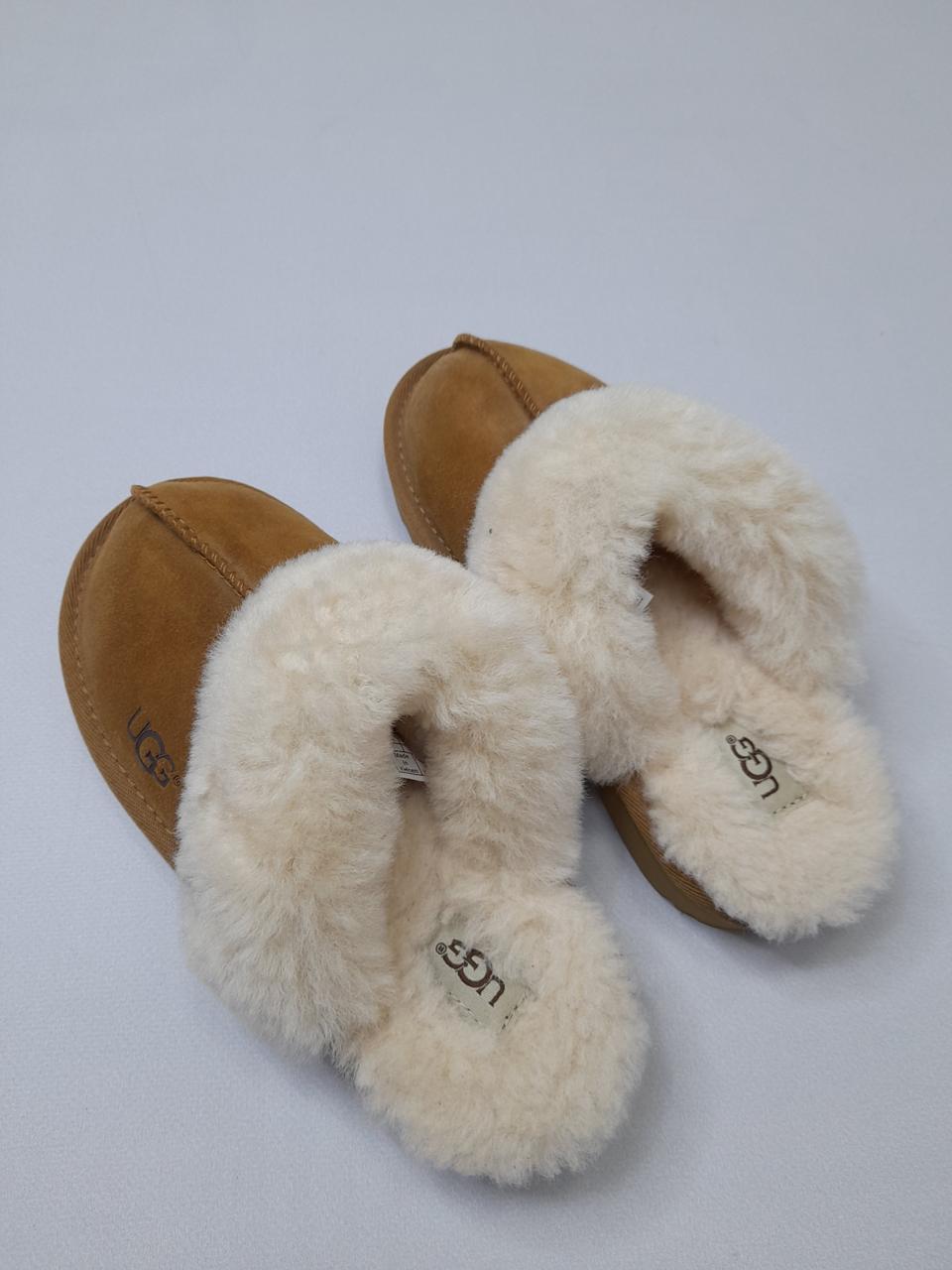 Фото2 Шльопанці UGG