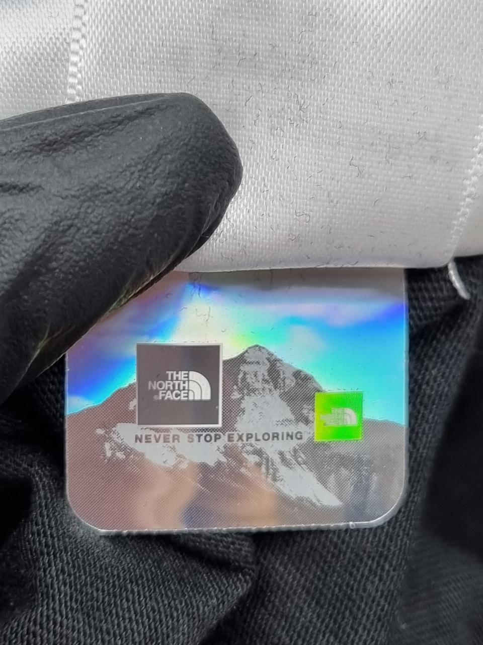 Фото3 Лонгслів TNF