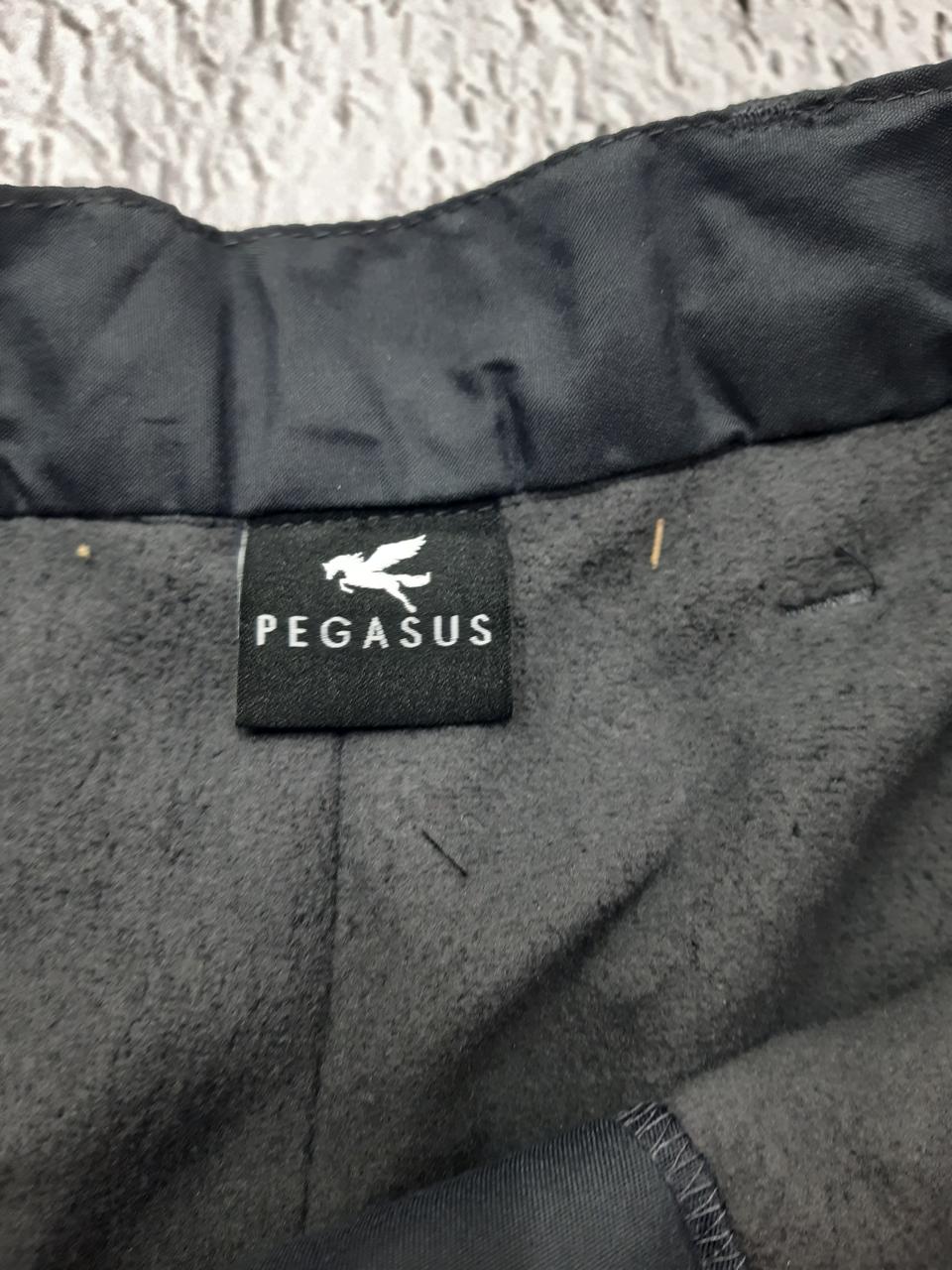 Фото3 Штани Pegasus