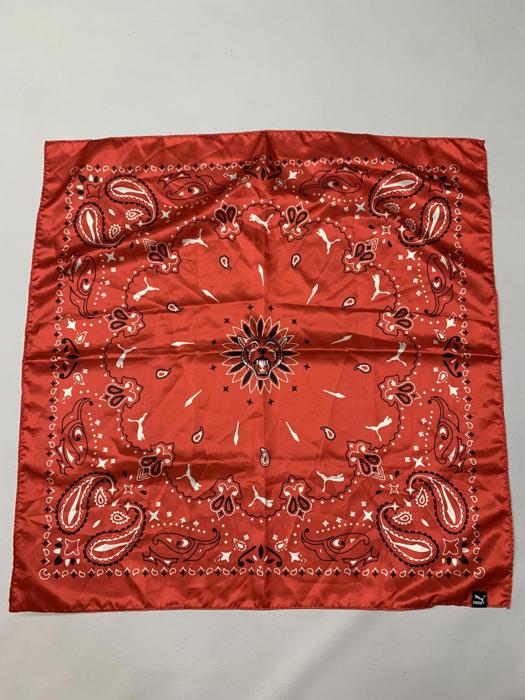 Фото Хустка Puma