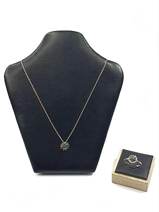 Фото Набір: ланцюжок з підвіскою  + каблучка 