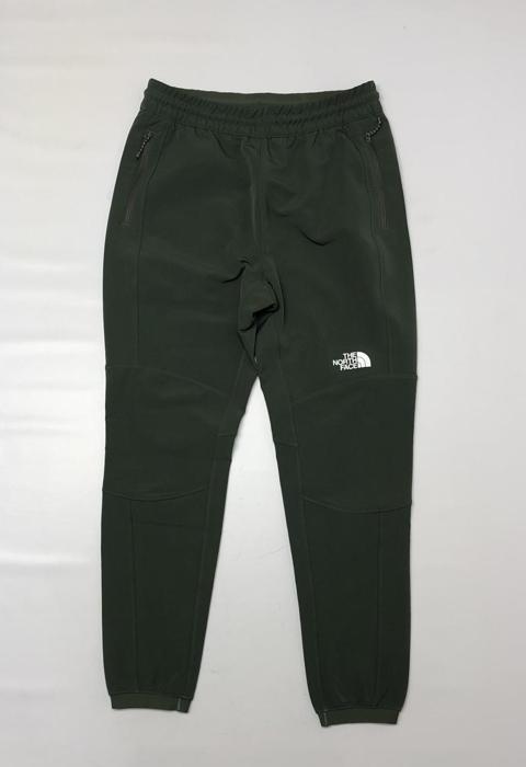 Фото Спортивні штани The north face