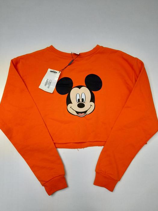 Фото Світшот Disney & PLT